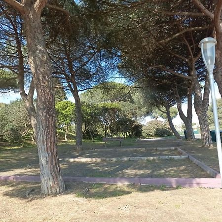 Lara 2 - T2 Balcon Piscine Lit Double & Clic-Clac Parking Pres Du Centre-Port Et Ile Loisirs Agde Exterior photo